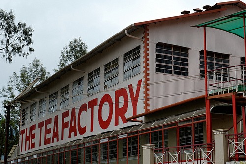 Industrial Visit to Tea Factory,OOTY